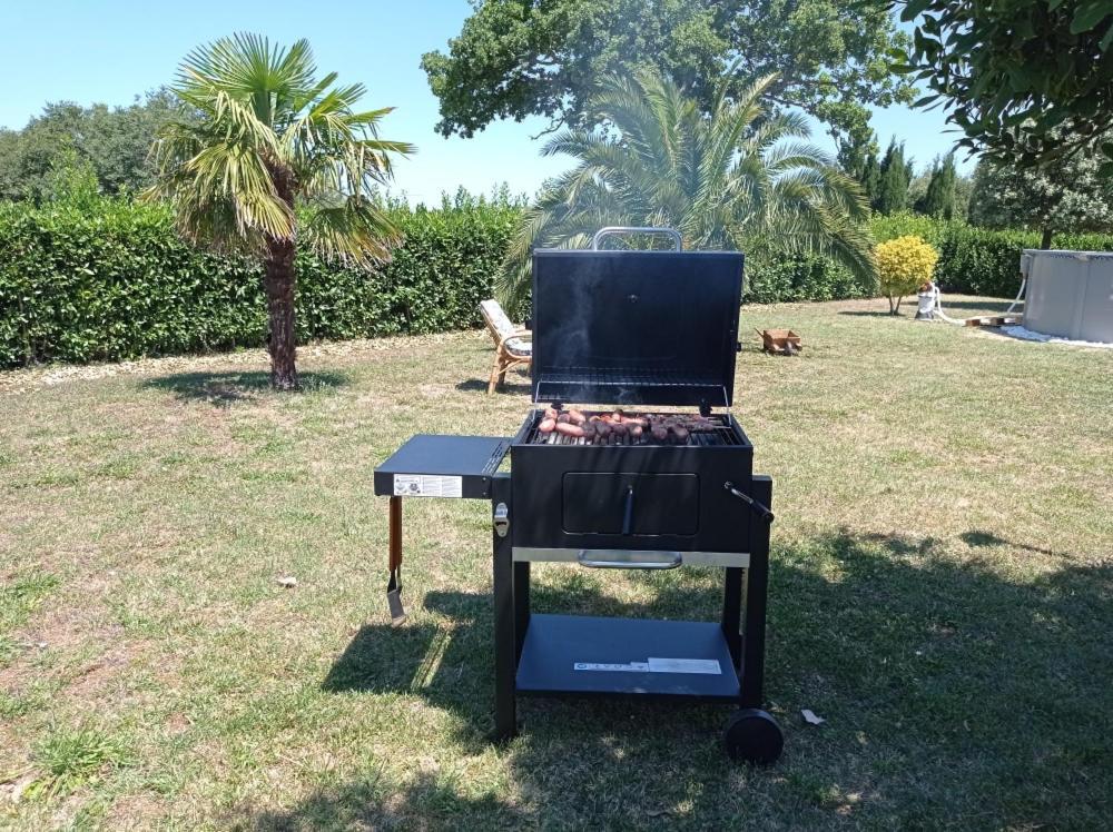 Valdiveltrica Villa Mondavio Bagian luar foto